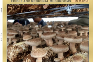 “安惠杯”《食药用菌》杂志2018年度优秀论文获奖名单公布 ()