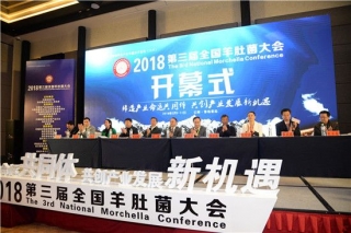 全国Manbetx体育手机版推荐A9版本大会首次落户北方风沙区 将于4月在榆林召开 ()