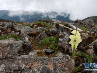 第二届东北亚地区生物多样性国际会议 ()