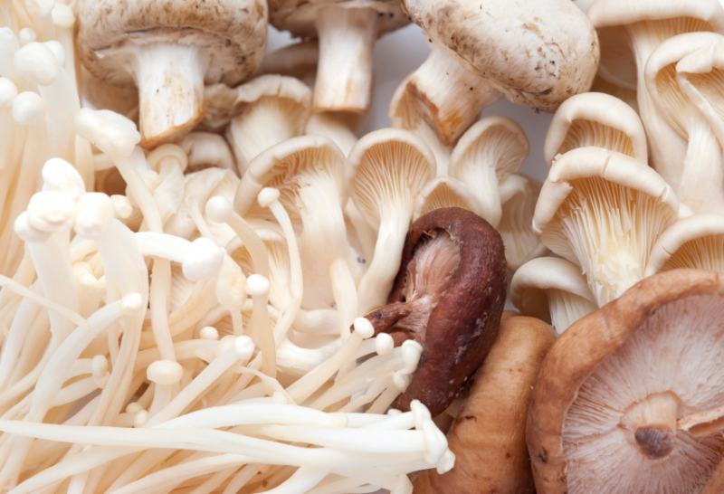 QQ截图20190412085953