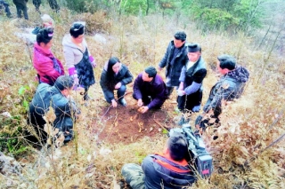 突出科技创新　注重成果转化 大方天麻产业插上翅膀 ()