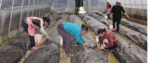 QQ截图20190413152527