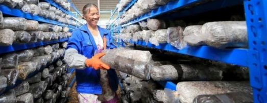 QQ截图20190413152706