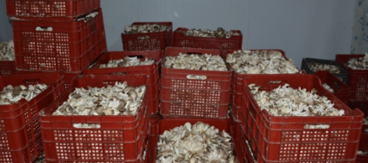 QQ截图20190413152742