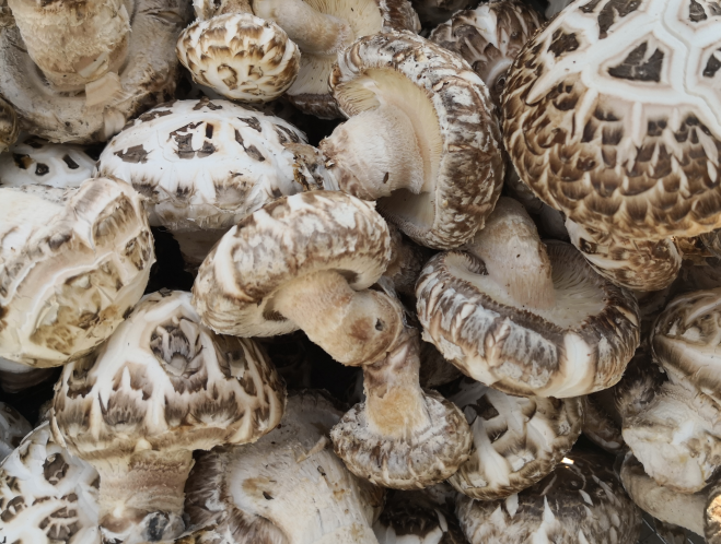 QQ截图20190415145222