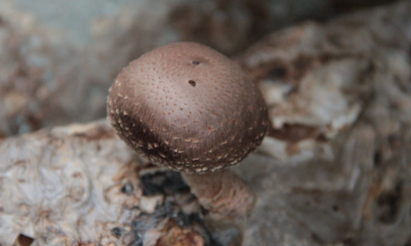 QQ截图20190422141302