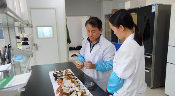 QQ截图20190422142528