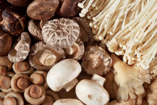 牡丹江：整合多种资源雪城Manbetx体育手机版推荐A9版本产业加快转型升级 ()