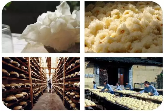 QQ截图20190424085148