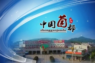 古田县与新华社联手在北京举办古田银耳推介会和新闻发布会 ()