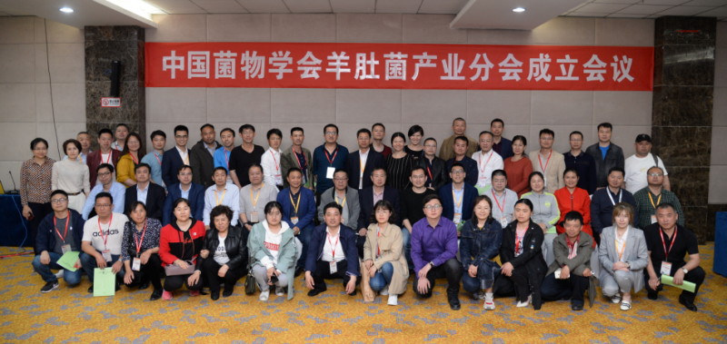 QQ截图20190424111132