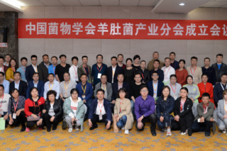 中国菌物学会Manbetx体育手机版V17版本发布.官网安卓网.香港产业分会成立会议在陕西榆林召开 ()