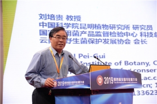 刘培贵：中国Manbetx体育手机版推荐A9版本市场将迎来变革与突破  品质消费为重点 ()