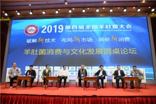 Manbetx体育手机版V17版本发布.官网安卓网.香港消费与文化发展圆桌论坛在榆林开讲 共商市场前景好与坏 ()