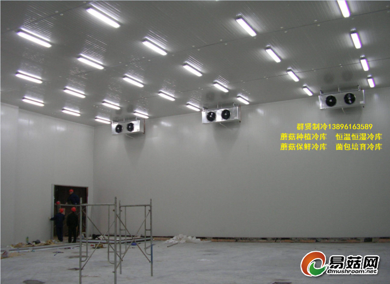 蘑菇1 - 副本 (2)