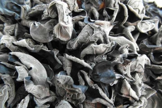 岳西10万斤桑枝木耳借船出海 ()