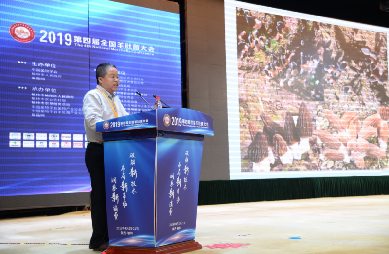 QQ截图20190426100306