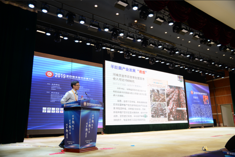 QQ截图20190426115338