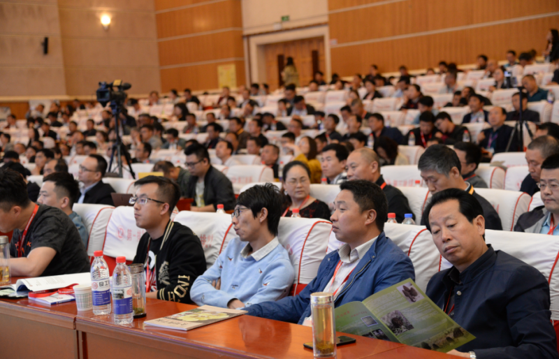 QQ截图20190426115441