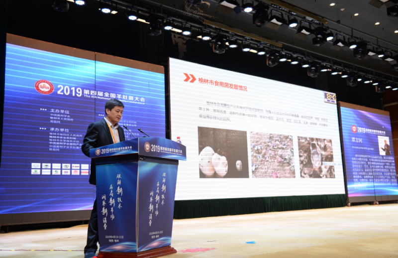 QQ截图20190426143542