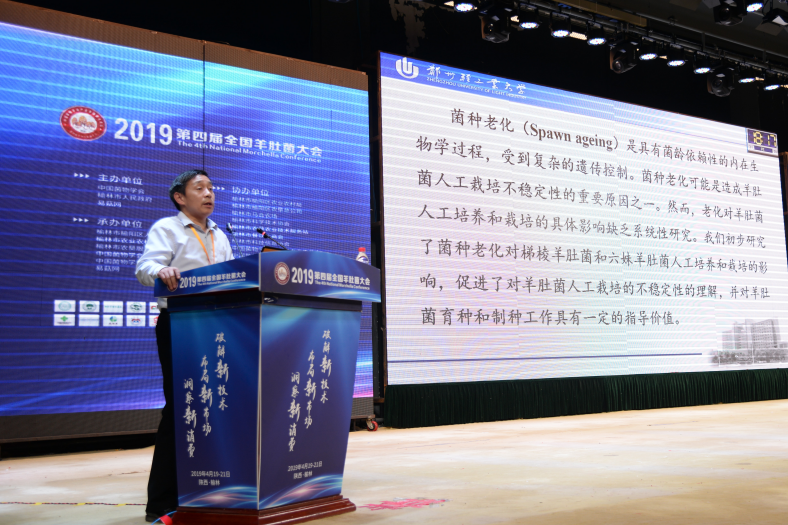 QQ截图20190427082837