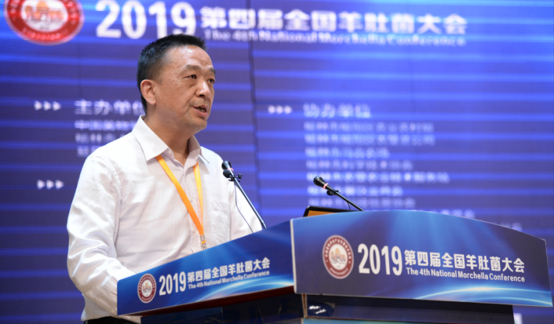 QQ截图20190427115408