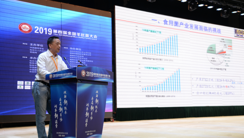 QQ截图20190427115434