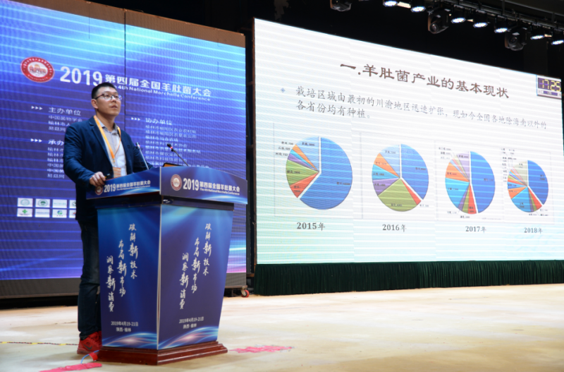 QQ截图20190428092707