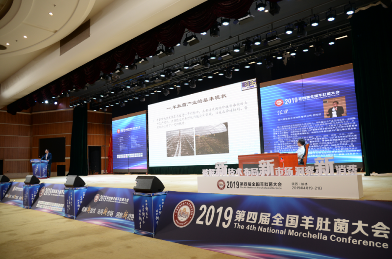 QQ截图20190428092717