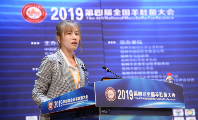 QQ截图20190428105513