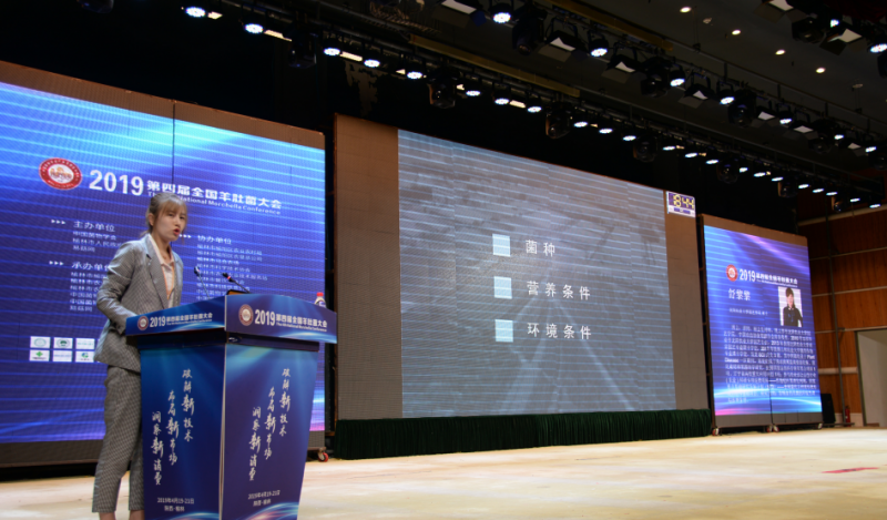 QQ截图20190428105529