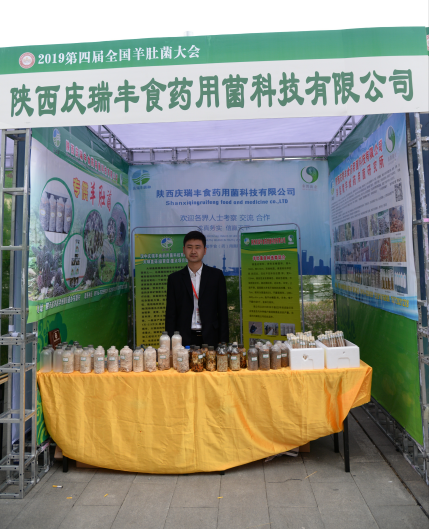 QQ截图20190428112857