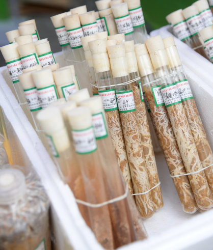 QQ截图20190428112911