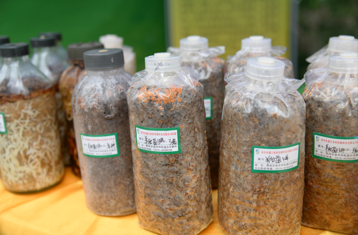 QQ截图20190428112925