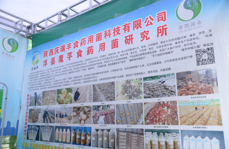 QQ截图20190428112939