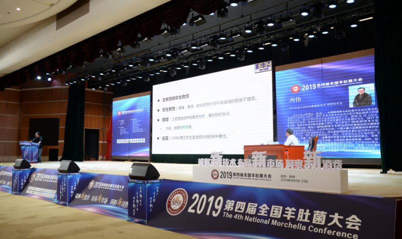 QQ截图20190428183843