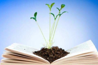 农业农村部：加快构建适合国情农情的农业植物新品种保护体系 ()