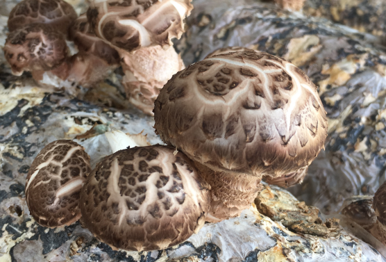 QQ截图20190506135633