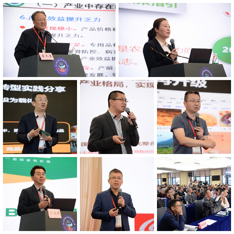 光影魔术手拼图