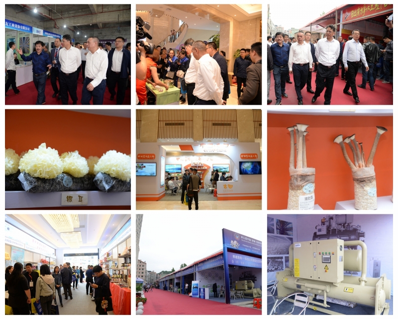 光影魔术手拼图