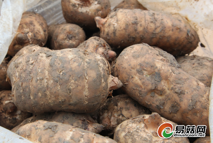 QQ截图20190507143106