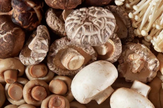 李玉院士团队在常德建立院士专家工作站 ()