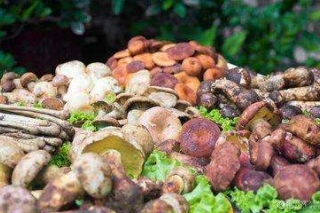 北川县市监局发布2019年野生菌安全消费警示 ()