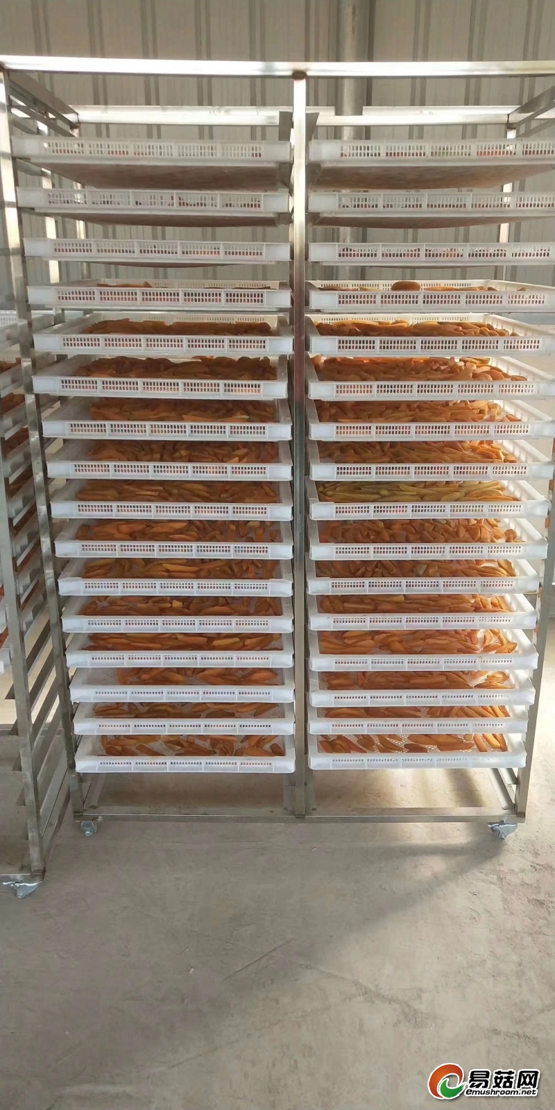 微信图片_20190424195231