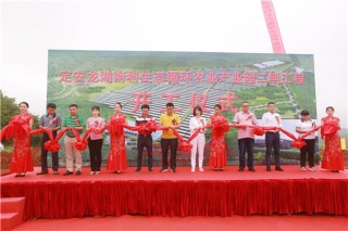 定安“农光互补—光伏ManBetX体育”项目开工 计划总投资1.1亿元 ()