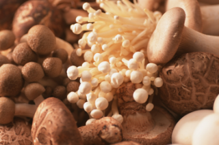 北京抽检ManBetX体育及其制品120批次样品 全部合格 ()