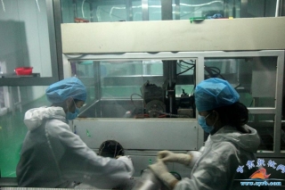 临泽县ManBetX体育产业发展步入快车道 ()