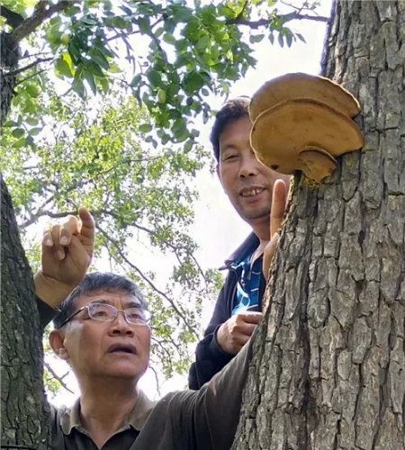 微信图片_20190511090322