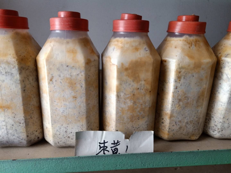 微信图片_20190511090354