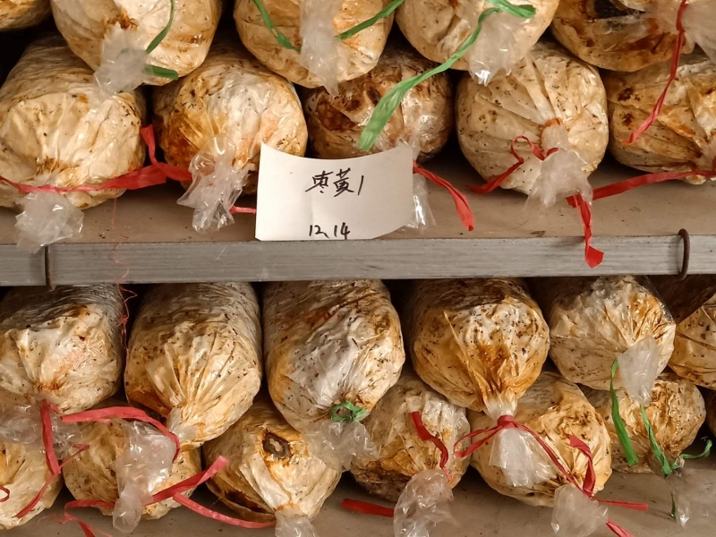 微信图片_20190511090402